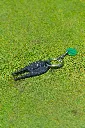 DSC01702.webp