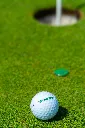 DSC01717 (1).webp