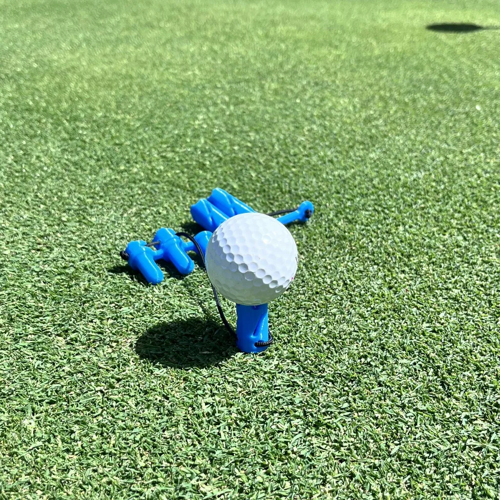 Vanotee de Tapis + Vanotee (1).webp