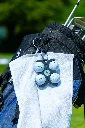 DSC01686.webp