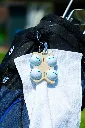 DSC01692.webp