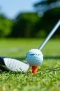 Tee de golf Vanotee Orange 4.webp