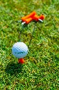 Tee de golf Vanotee Orange 2.webp