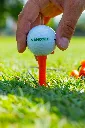 Tee de golf Vanotee Orange 3.webp