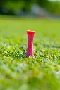 Tee de golf Vanotee Rose 1.webp